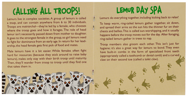 Hug a Lemur Kit