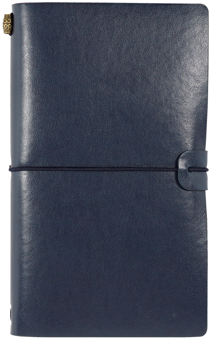 Amazon.co.jp: Planet Blue Reading Navigator [Revised Edition