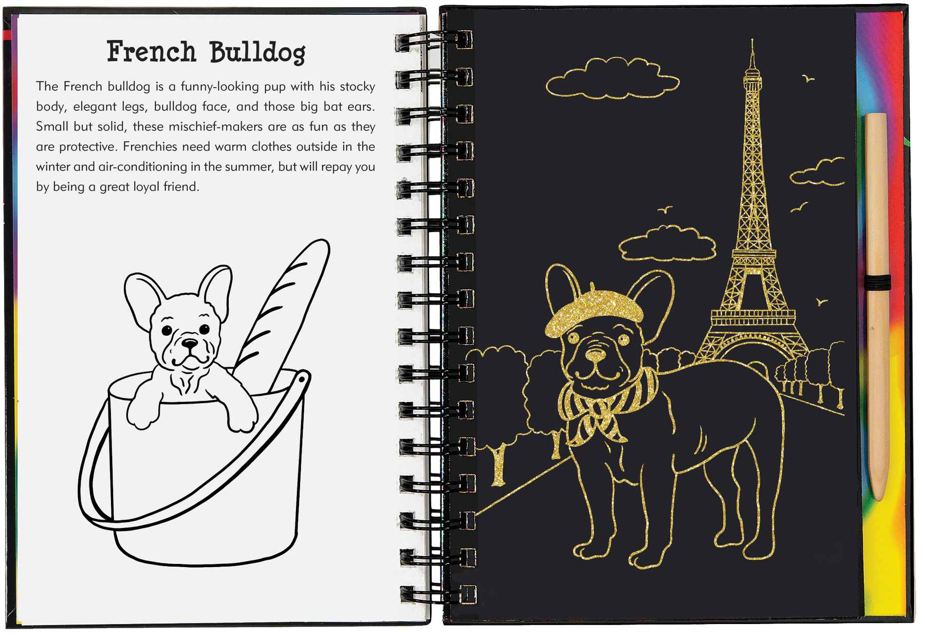 Scratch & Sketch Pet Shop [Book]