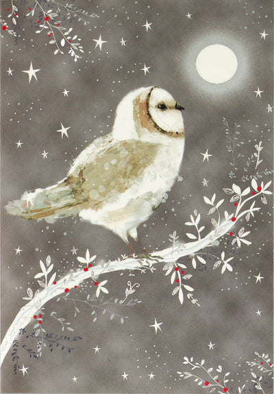 Starry Night Owl