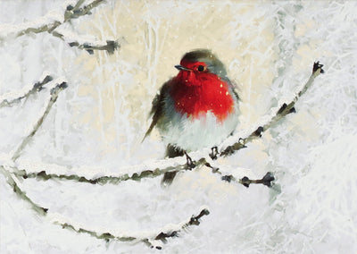 English Robin in Winter