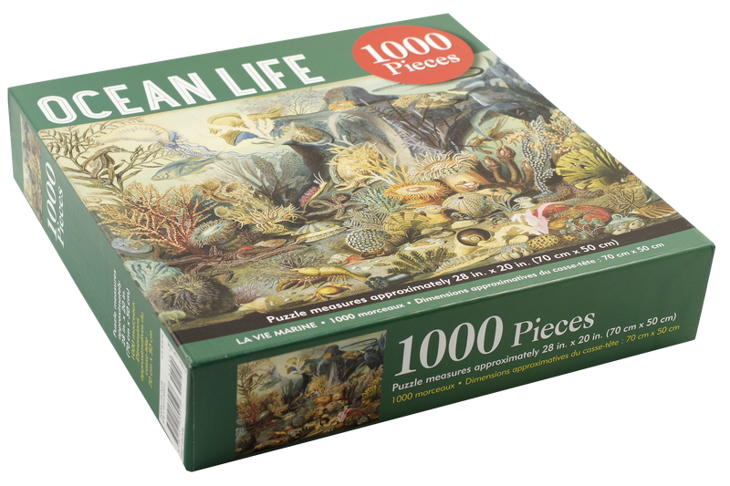 Ocean Life Jigsaw Puzzle