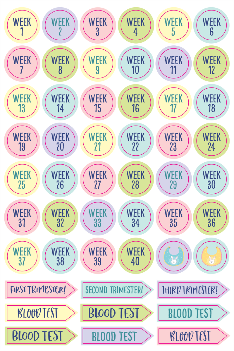 Essentials Pregnancy &amp; Baby Planner Stickers