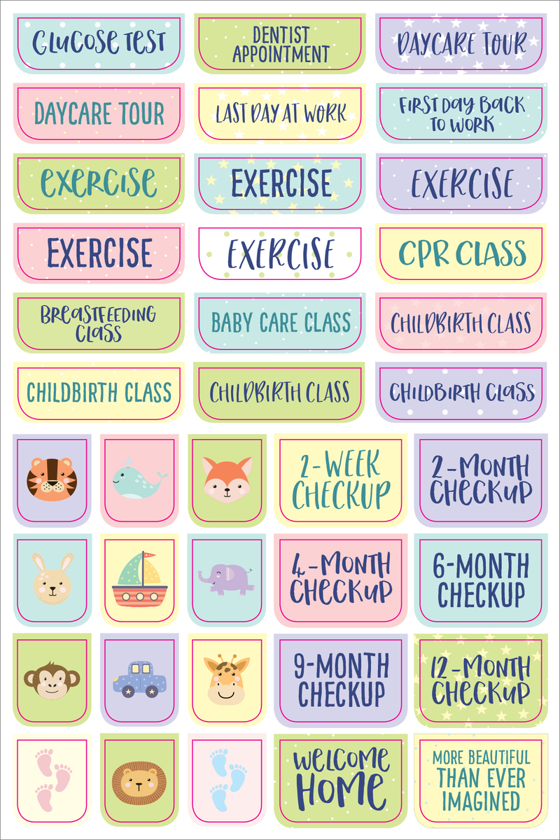 Essentials Pregnancy &amp; Baby Planner Stickers