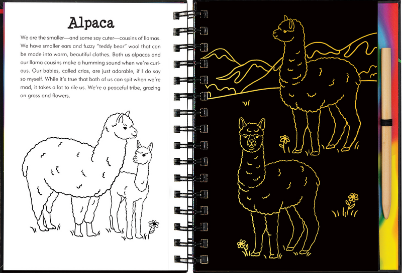 Llamas &amp; Friends Scratch &amp; Sketch