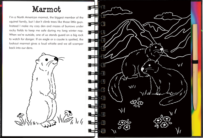 Llamas &amp; Friends Scratch &amp; Sketch