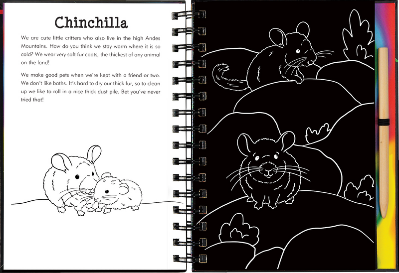 Llamas &amp; Friends Scratch &amp; Sketch