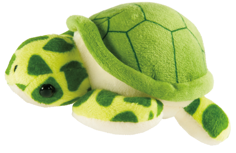 Hug a Sea Turtle Kit 