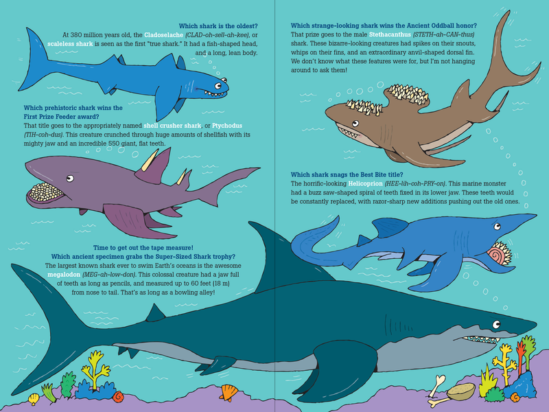 100 Questions about Sharks