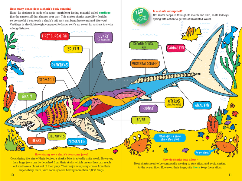 100 Questions about Sharks