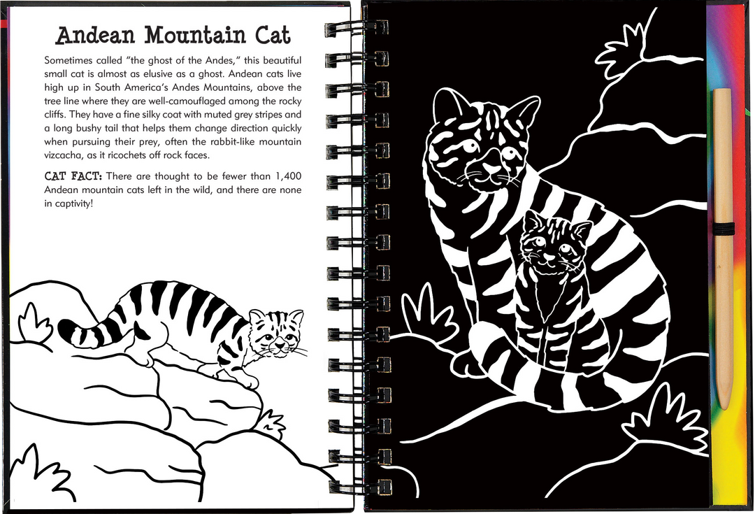 Wild Cats Scratch and Sketch – Peter Pauper Press