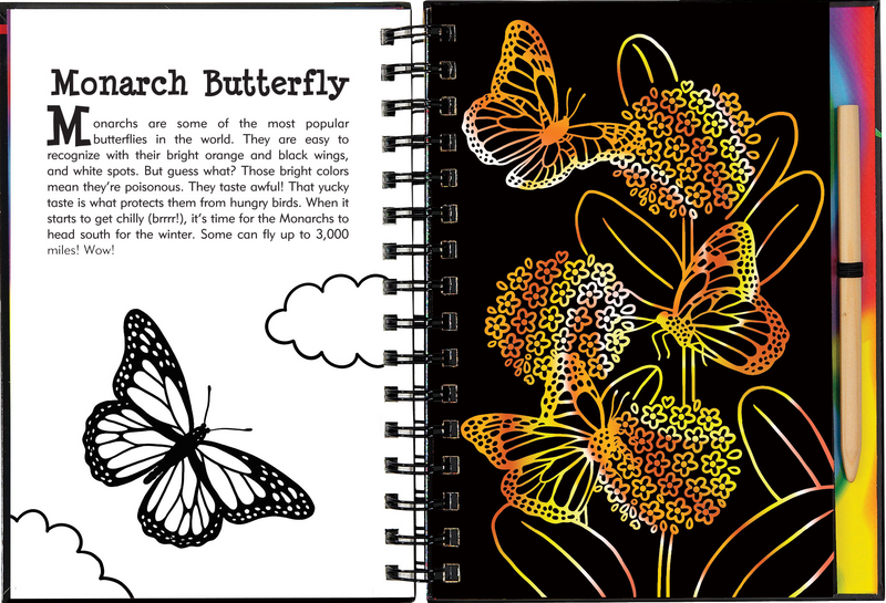 Scratch &amp; Sketch Butterflies &amp; Friends