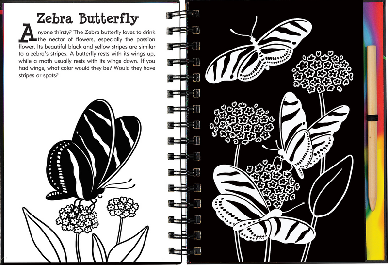 Scratch &amp; Sketch Butterflies &amp; Friends