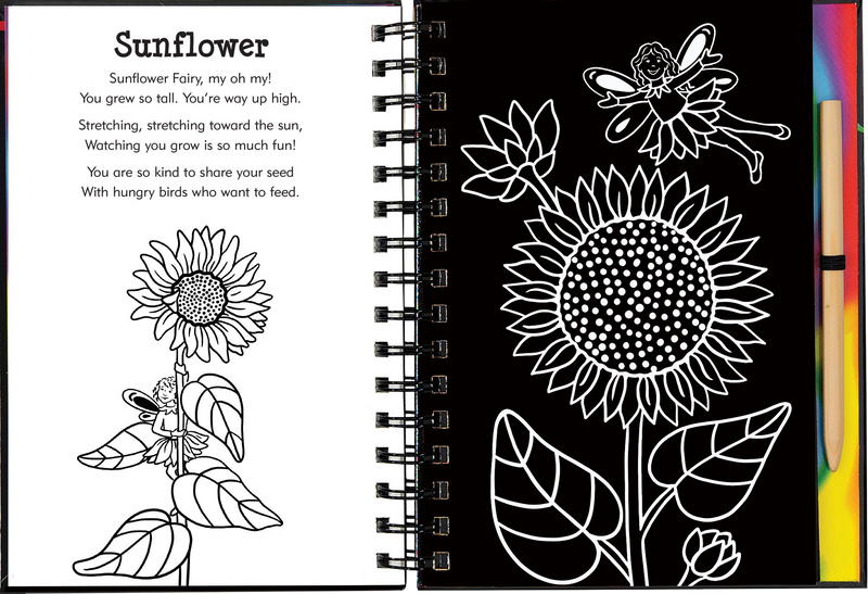 Scratch &amp; Sketch Garden Fairies