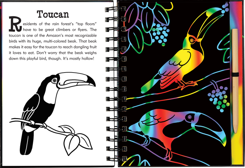 Scratch &amp; Sketch Rain Forest
