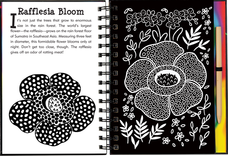 Scratch &amp; Sketch Rain Forest