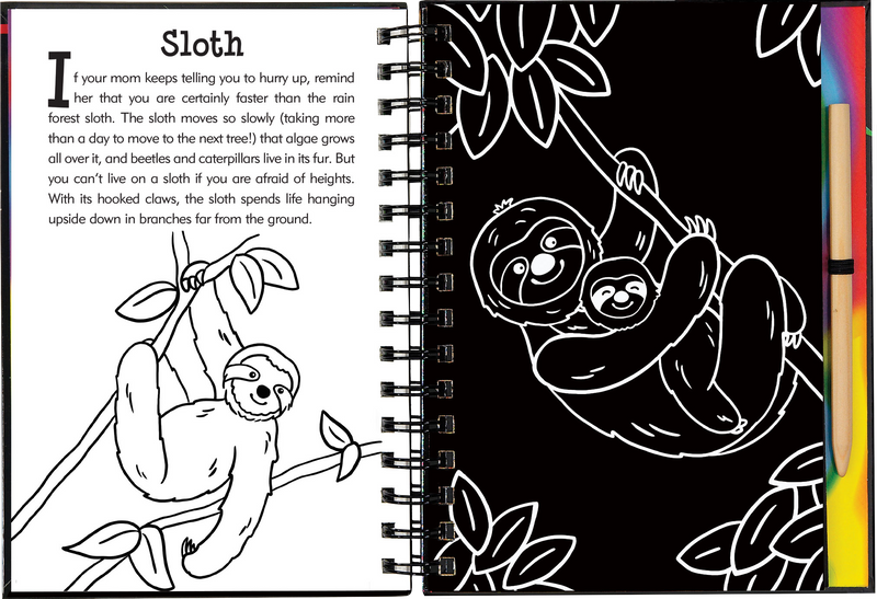 Scratch &amp; Sketch Rain Forest