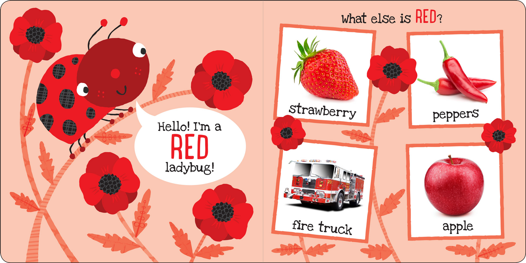 My First COLORS Board Book – Peter Pauper Press