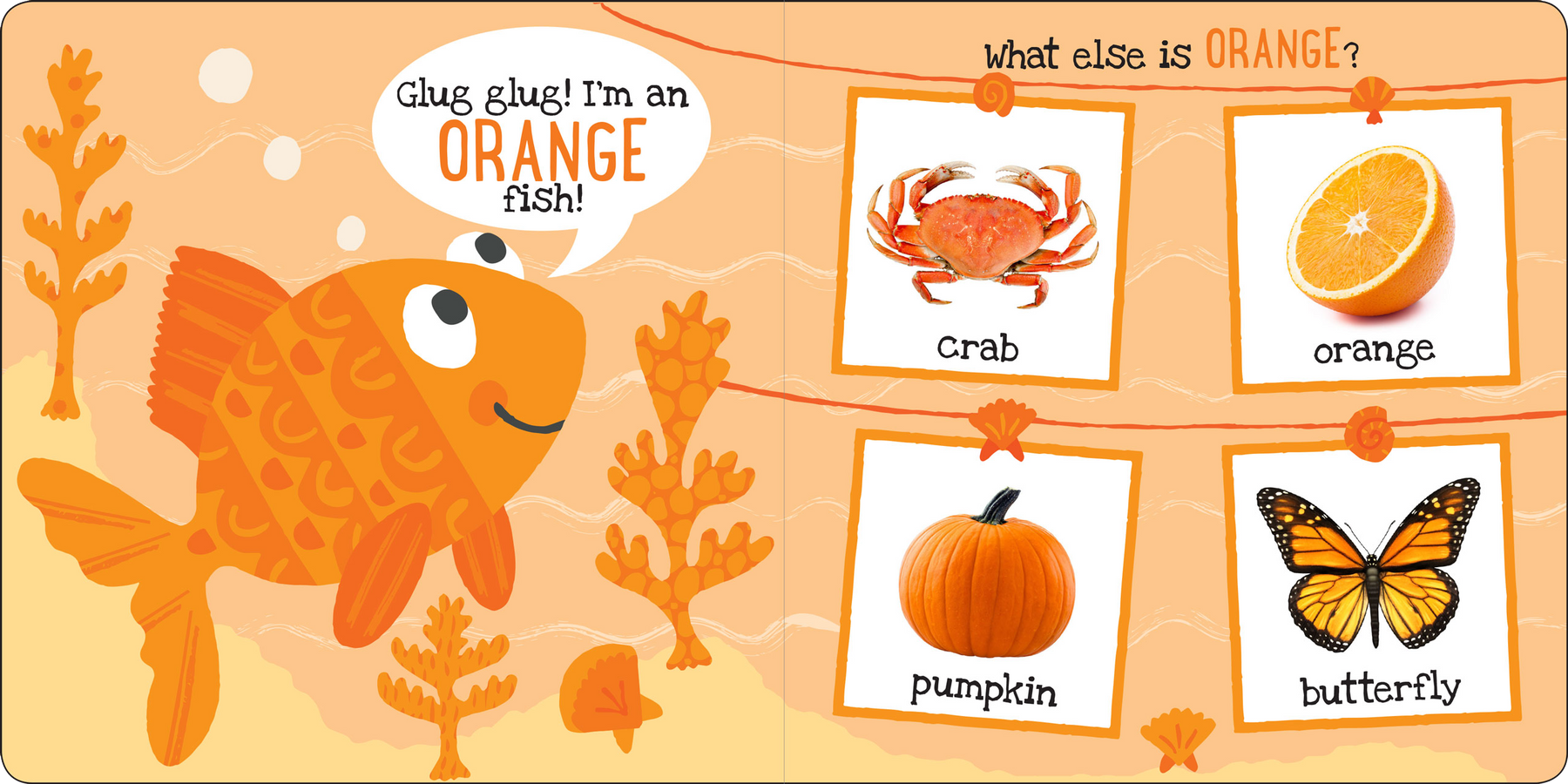 My First COLORS Board Book – Peter Pauper Press