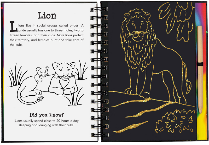 Scratch &amp; Sketch Wild Safari