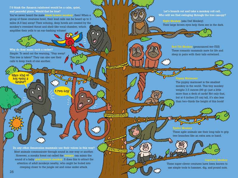100 Questions About The Amazon Rainforest