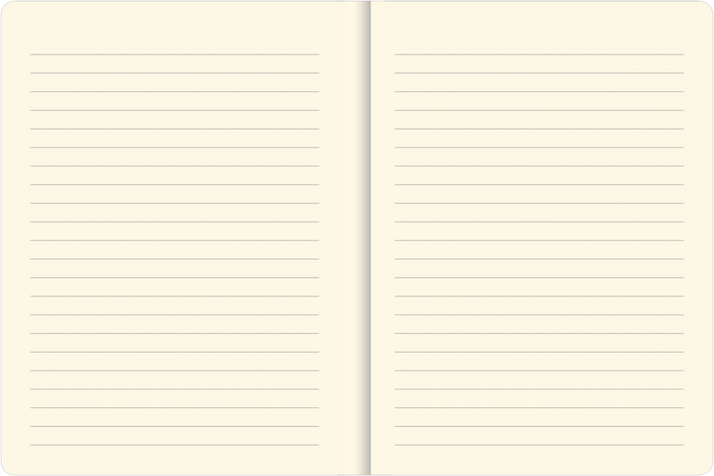 Birch Woods Journal