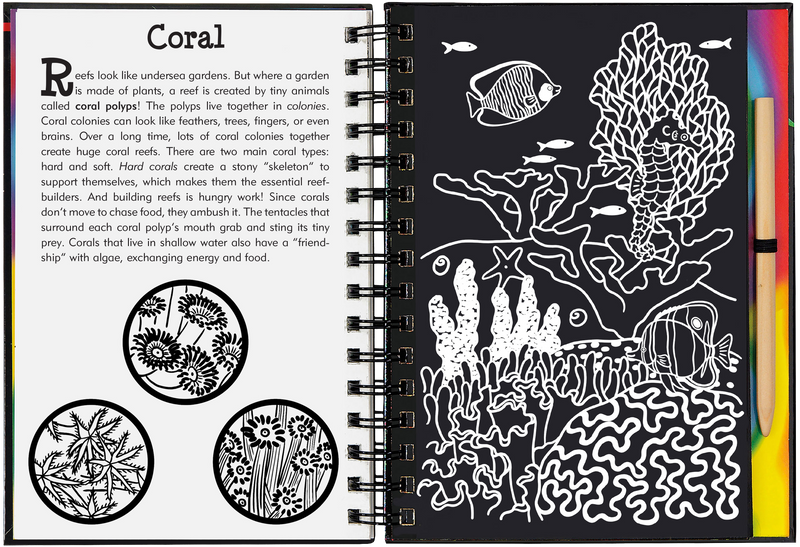 Coral Reefs Scratch and Sketch