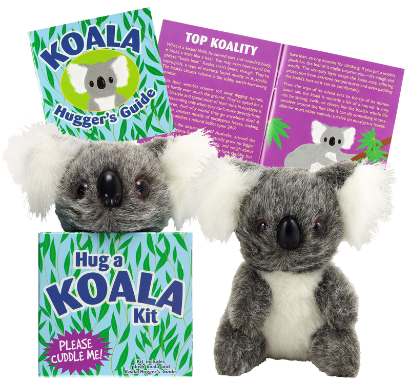 Hug a Koala Kit