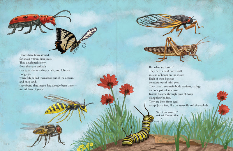 All the Insects in the World – Peter Pauper Press