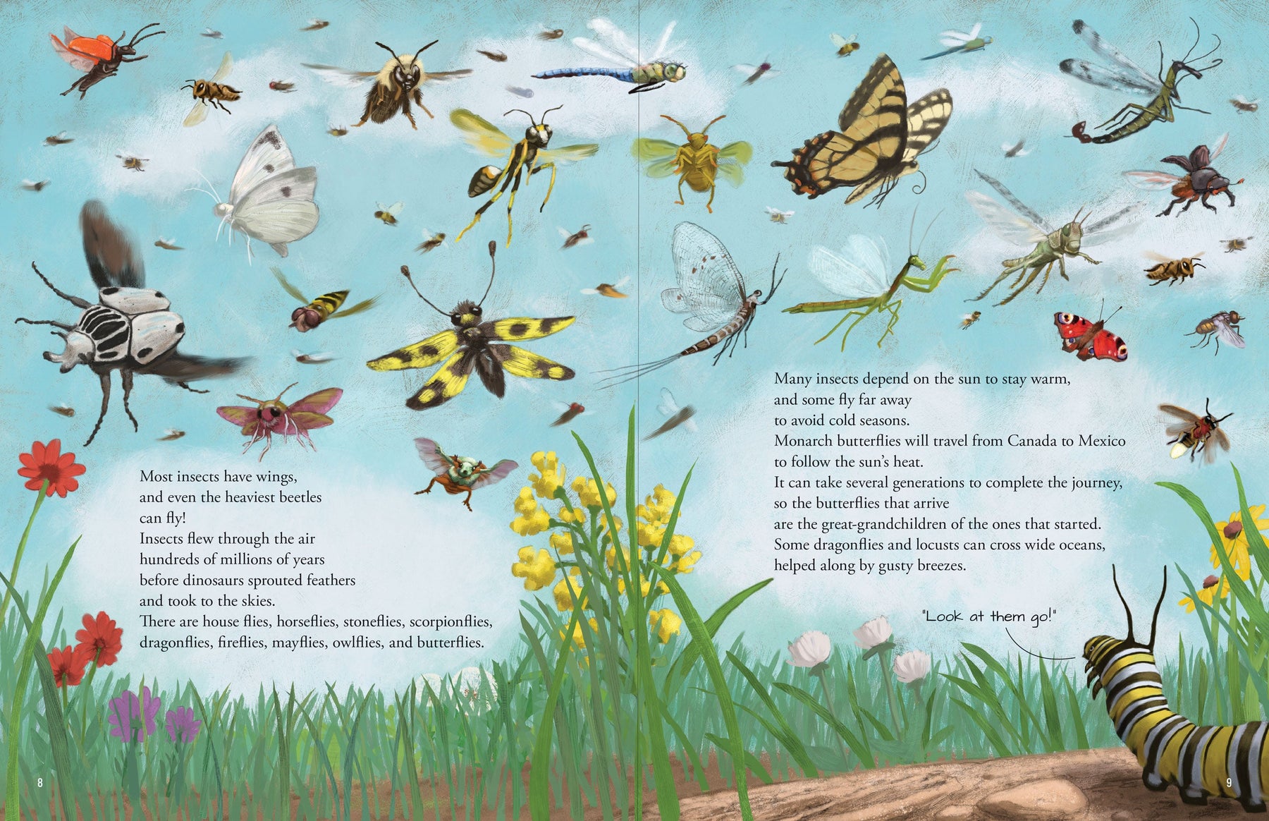 All the Insects in the World – Peter Pauper Press