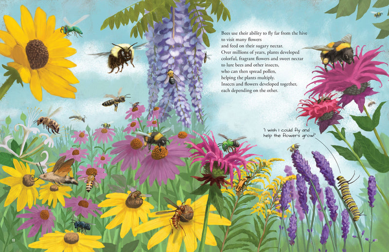 All the Insects in the World – Peter Pauper Press