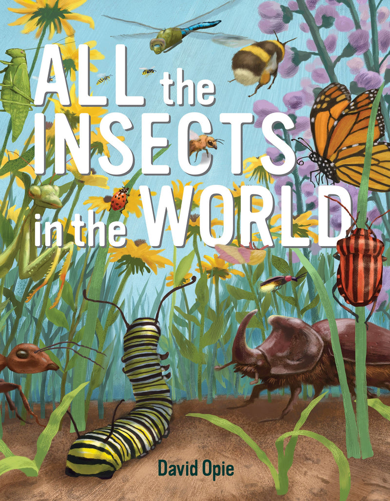 All the Insects in the World