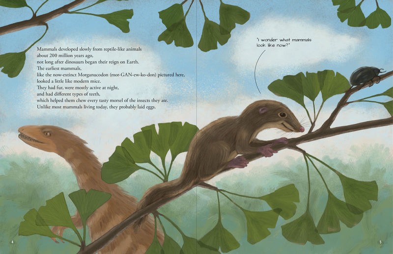 All the Mammals in the World