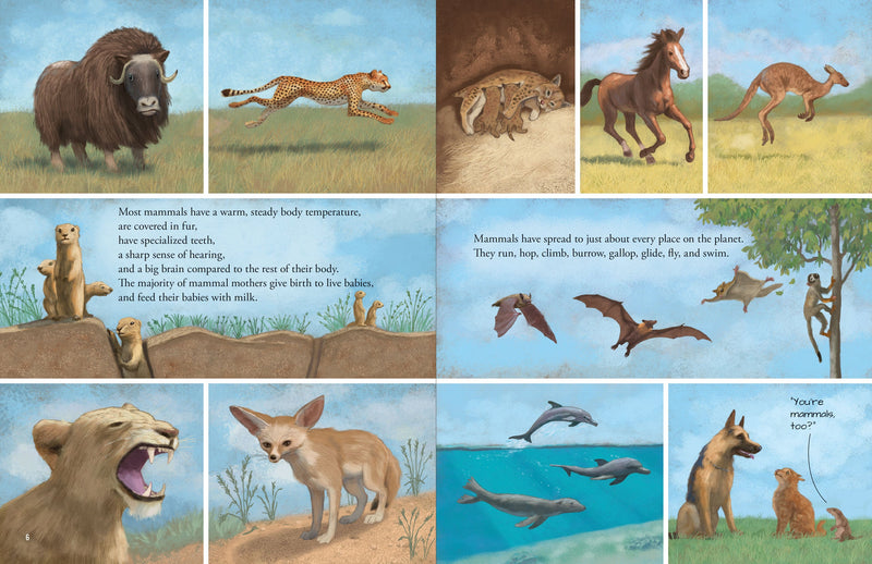 All the Mammals in the World