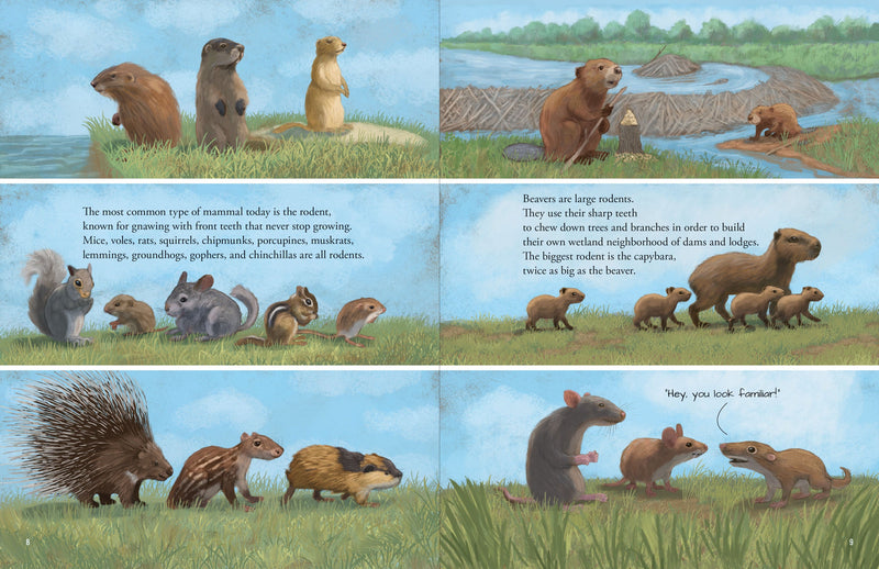 All the Mammals in the World