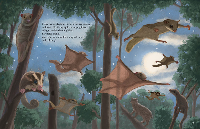 All the Mammals in the World