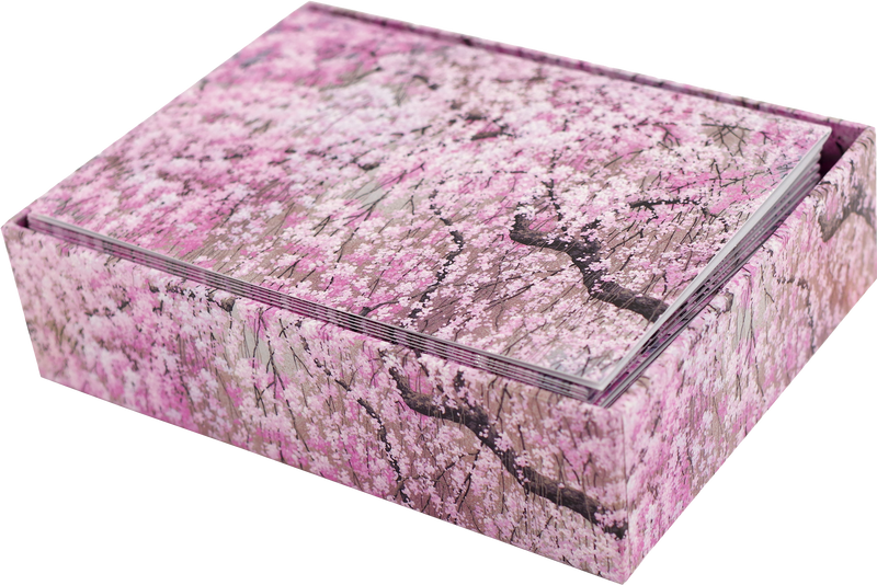 Cherry Blossoms Note Cards 