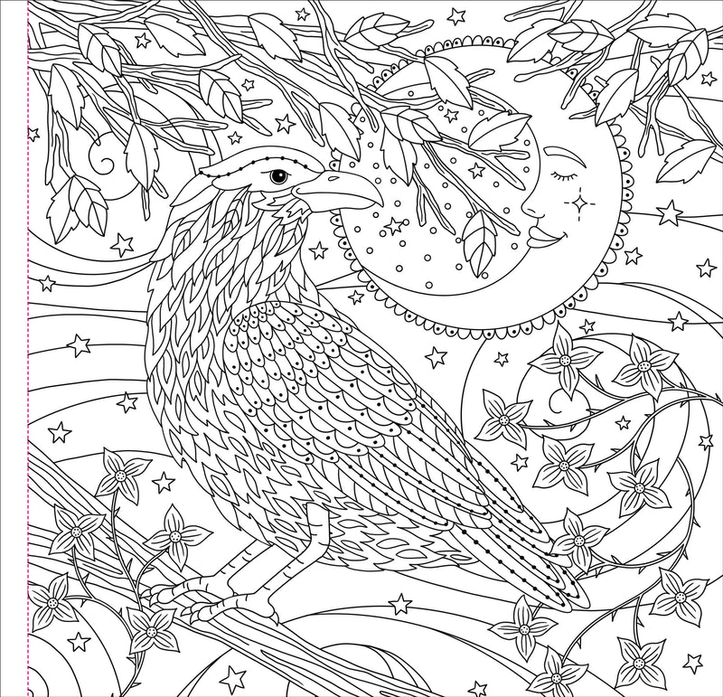 Witchcraft & Wonder Artist&