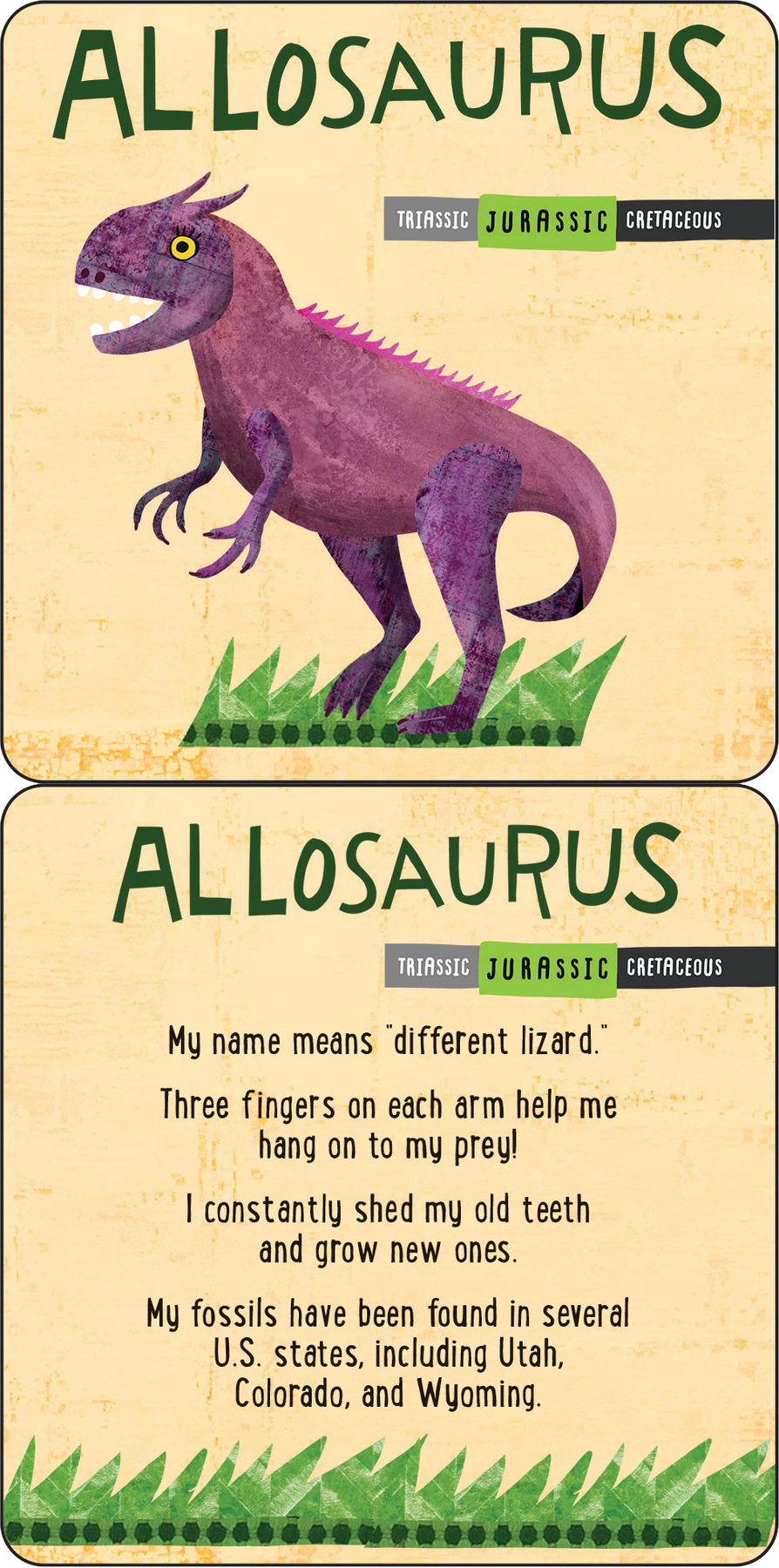 Dinosaur Lunch Box : School Lunch that Kids Will Eat, Dinosaurs Pictures  and Facts