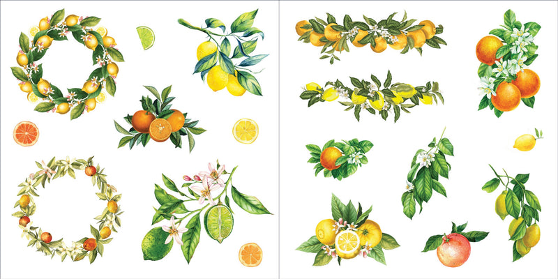 Bunches of Botanicals! Sticker Book