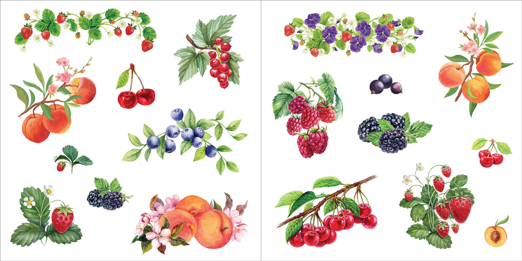 Botanicals Reusable Sticker Book – Pineberry Paper