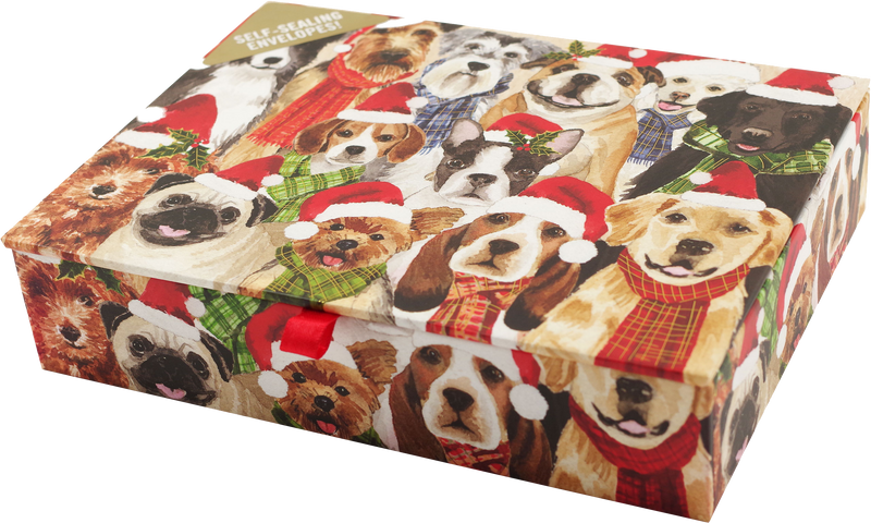 Deck the Dogs Deluxe Boxed Holiday Cards