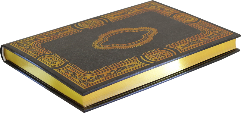 Gilded Onyx Journal