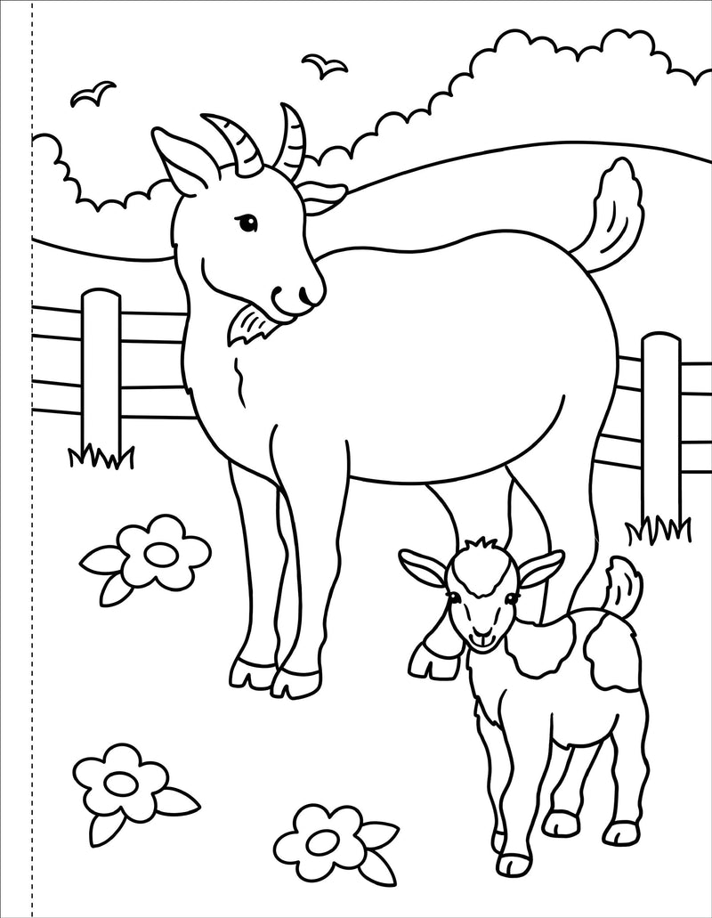 My First Coloring Book! On the Farm