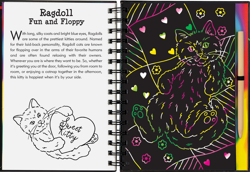 Kittens Scratch and Sketch