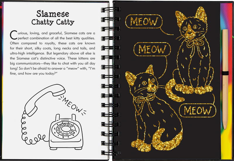 Kittens Scratch and Sketch
