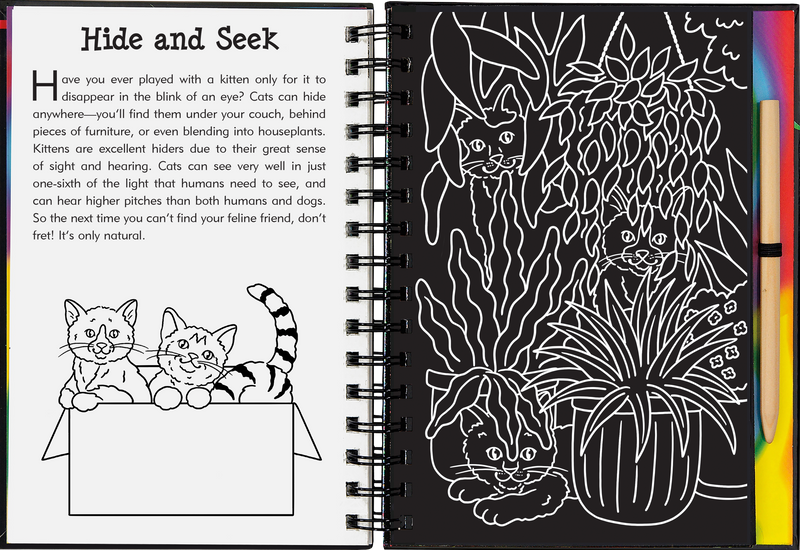 Kittens Scratch and Sketch