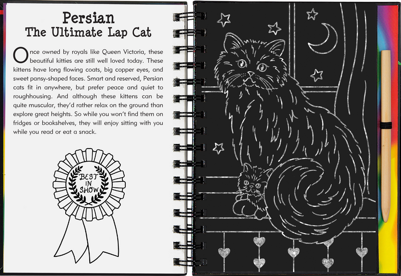 Kittens Scratch and Sketch