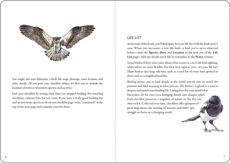 The Birder&