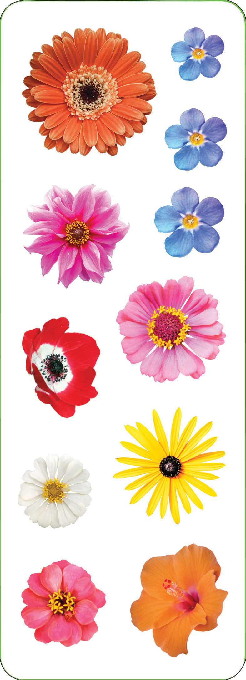 Flowers Sticker Set